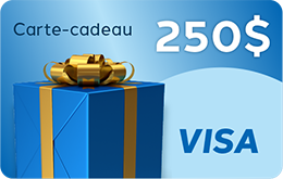 250-Visa-Gift